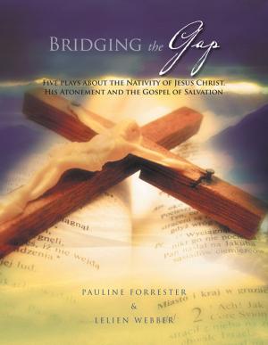 Cover of the book Bridging the Gap by J. R. Niles