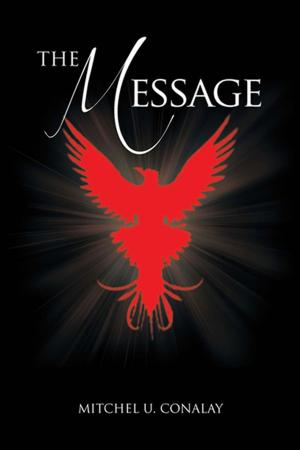 Cover of the book The Message by Renzie