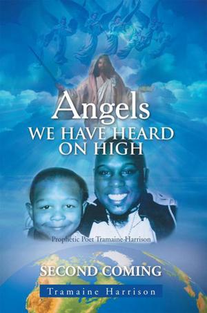 bigCover of the book Angels We Have Heard on High by 