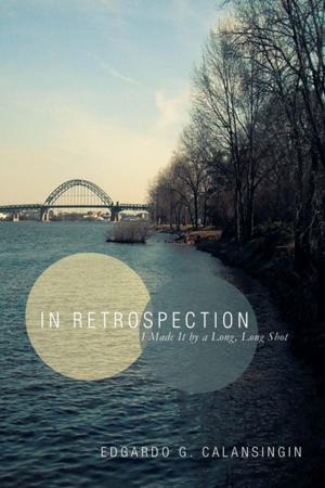 Cover of the book In Retrospection by Misty Powers