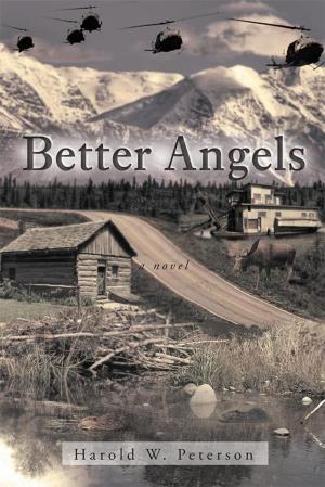 Cover of the book Better Angels by Mahalia Washington