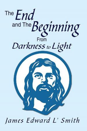 Book cover of The End and the Beginning: from Darkness to Light