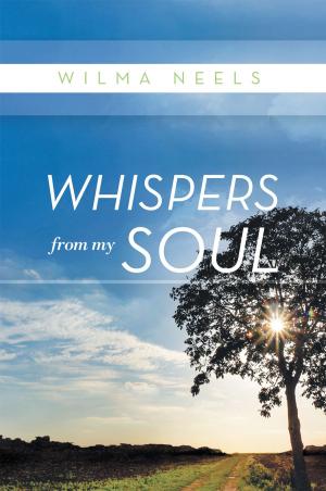 Cover of the book Whispers from My Soul by P. Zainul Abideen