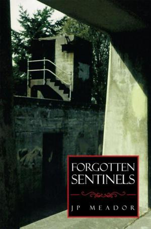 Book cover of Forgotten Sentinels