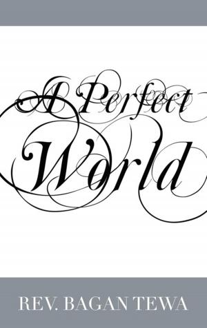 bigCover of the book A Perfect World by 
