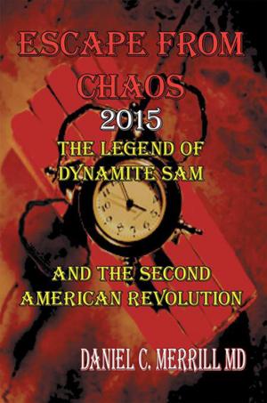 bigCover of the book Escape from Chaos by 