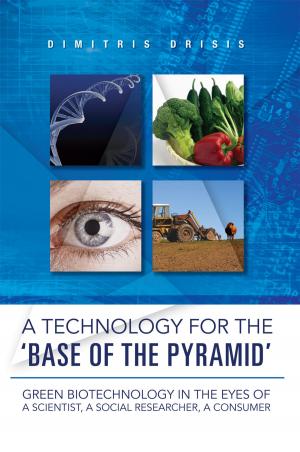 Cover of the book A Technology for the ‘Base of the Pyramid’ by Russell James Stein