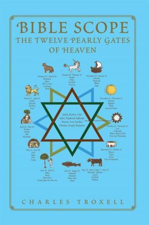 Cover of the book Bible Scope the Twelve Pearly Gates of Heaven by Rob Ray Taylor