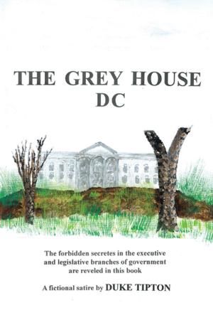 Cover of the book The Grey House Dc by Edith K. Kriegel