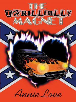 Cover of the book The Thrillbilly Magnet by Stafan Lowry