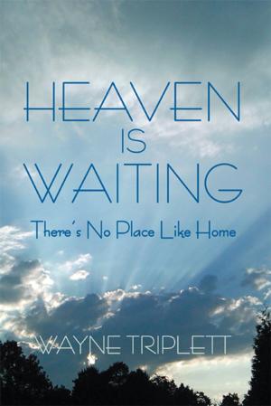 Cover of the book Heaven Is Waiting by Mehmet Tanberk