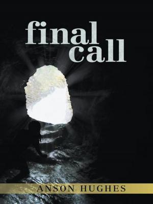 Cover of the book Final Call by Nicole Anderson