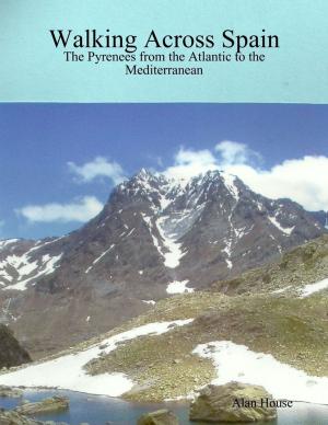 bigCover of the book Walking Across Spain - The Pyrenees from the Atlantic to the Mediterranean by 