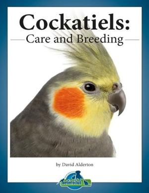 Book cover of Cockatiels: Care and Breeding