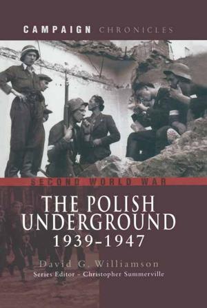 bigCover of the book The Polish Underground 1939-1947 by 