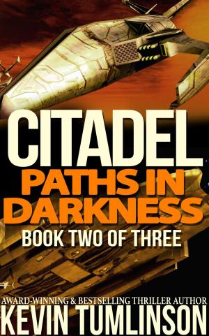 Cover of the book Citadel: Paths in Darkness by Bernard McCormick