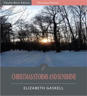Book cover of Christmas Storms and Sunshine