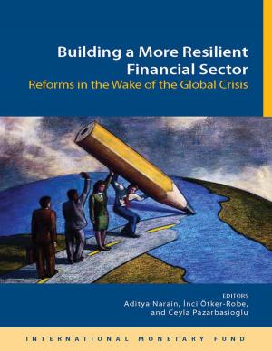 Cover of the book Building a More Resilient Financial Sector: Reforms in the Wake of the Global Crisis by Adrián Armas, Eduardo Mr. Levy Yeyati, Alain Mr. Ize