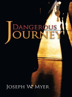 Cover of the book Dangerous Journey by Bert Tucker