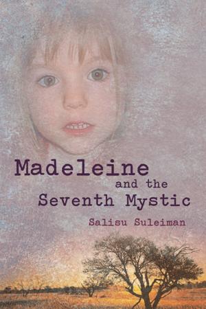 Cover of the book Madeleine and the Seventh Mystic by Timmy Fielding