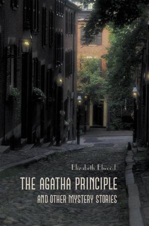 Cover of the book The Agatha Principle and Other Mystery Stories by J. R. Shaw