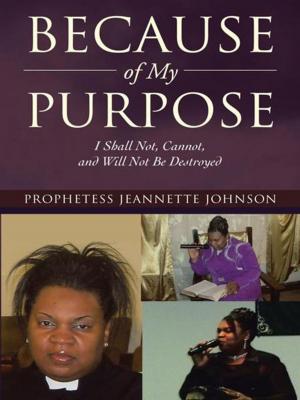 Cover of the book Because of My Purpose by Betsey Barnes