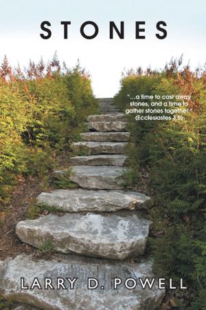 Cover of the book Stones by Kay MacDonald