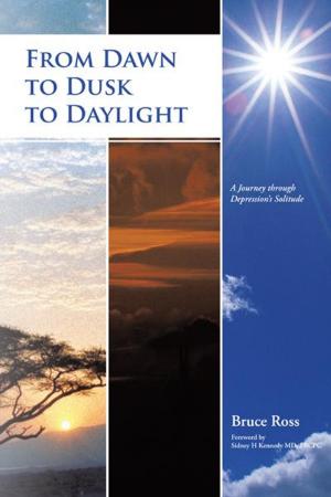 Cover of the book From Dawn to Dusk to Daylight by John Stamos Parrish