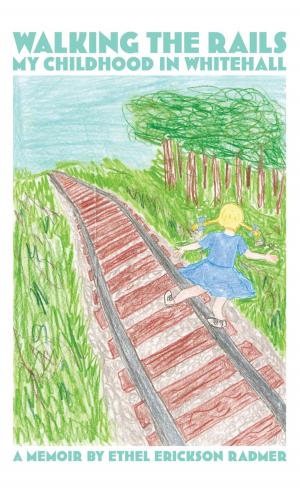 Cover of the book Walking the Rails by Ben Lazare Mijuskovic