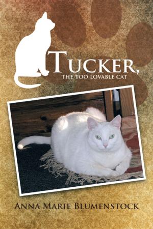 Cover of the book Tucker, the Too Lovable Cat by Caroline Burnet, Caroline Harding