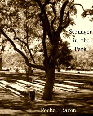Cover of Stranger in the Park