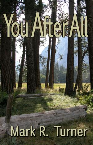 Cover of You After All