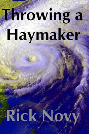 Cover of the book Throwing a Haymaker by Cathy Smith
