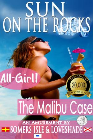 Cover of the book Sun on the Rocks: The Malibu Case by Donna Joy Usher
