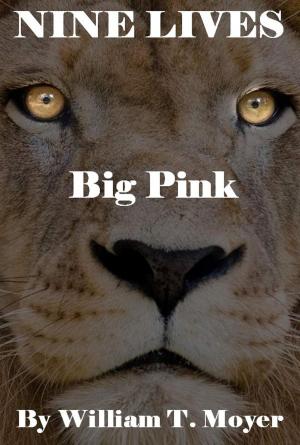 Cover of the book Big Pink by william moyer