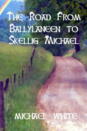 Book cover of The Road from Ballylaneen to Skellig Michael