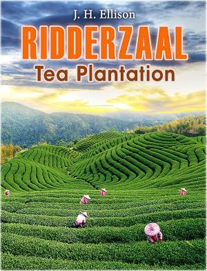 Book cover of Ridderzaal: Tea Plantation