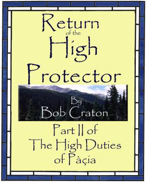 Book cover of Return of the High Protector: Part II of The High Duties of Pacia