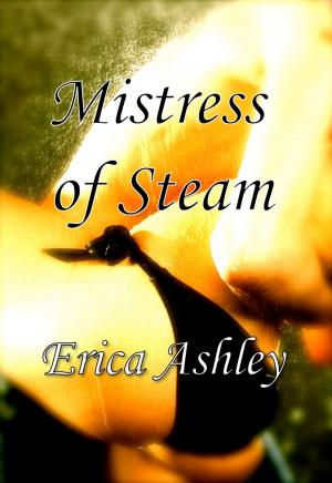Cover of the book Mistress of Steam by Dunklenacht