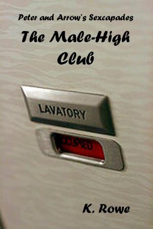 Cover of the book The Male-High Club by Maharg Reklaw