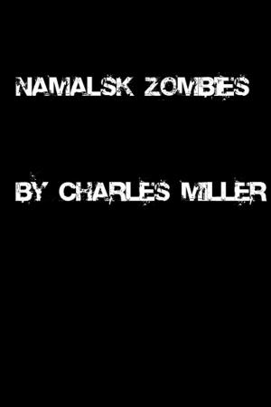Book cover of Namalsk Zombies