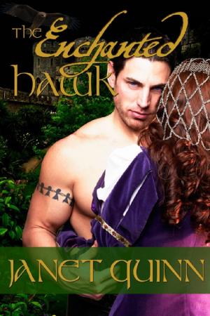 Book cover of The Enchanted Hawk