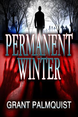 Cover of the book Permanent Winter by Joseph Inzirillo