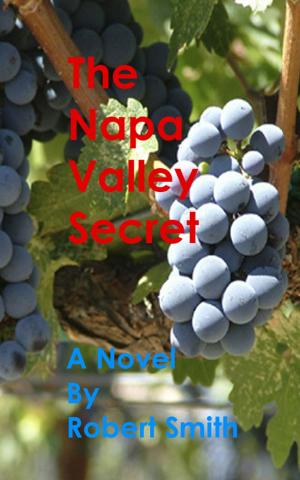 Cover of the book The Napa Valley Secret by Paul Cross
