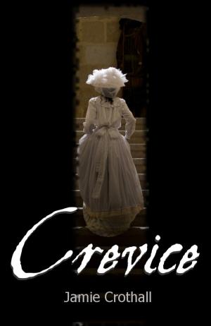 Book cover of Crevice