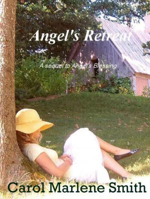 Cover of the book Angel's Retreat by Anna Pescardot