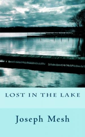 Cover of the book Lost in the Lake by Daniel P Swenson