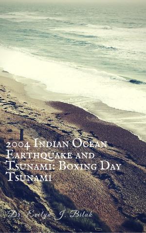 Book cover of 2004 Indian Ocean Earthquake and Tsunami: Boxing Day Tsunami