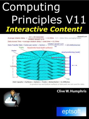 Book cover of Computing Principles V11