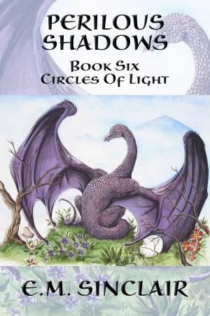 Cover of the book Perilous Shadows: Book 6 Circles of Light by Michael C. Madden